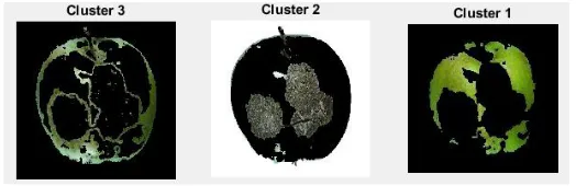 Fig. 21. colour segmentation 