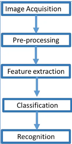 Fig. 1. Proposed algorithm for fruit identification and classification 