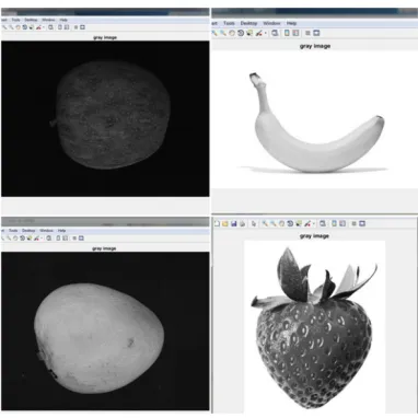 Fig. 2. Pre-processing steps 