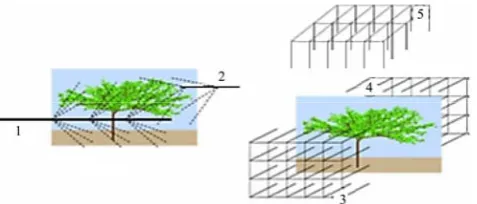 Figure 1  Spraying arms with eight degrees of freedom (DF) 