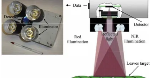 Figure 3  Four-band sensor (left) and its schematic profile (right) 