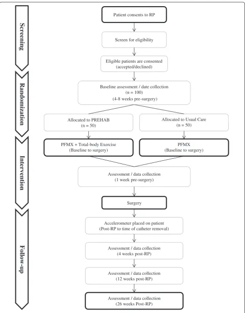 Figure 1 Participant flow.
