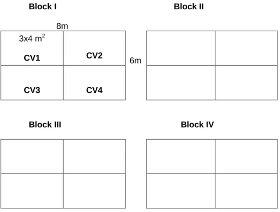 Fig. 5.1   General layout (fully randomized block design) for the field experiments in UK  (2008) and Pakistan (2009)