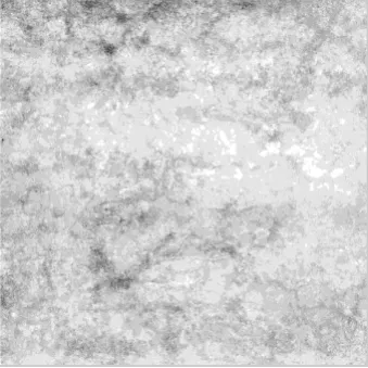 Fig. 16. Dye mass image being processed.