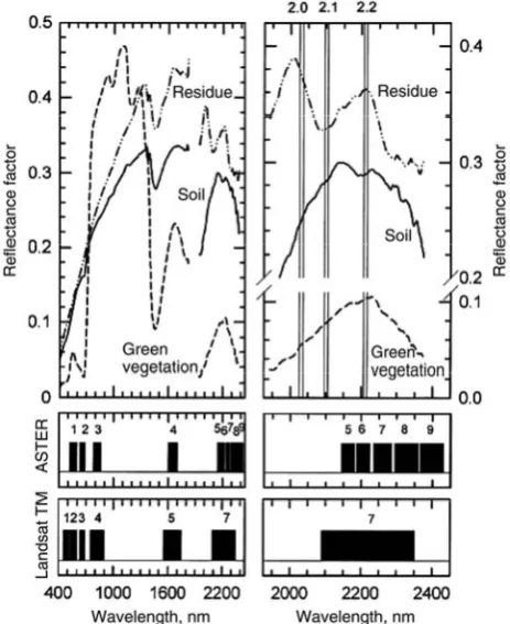 Figure 1  The schematic of line-transect method on wheat residue 