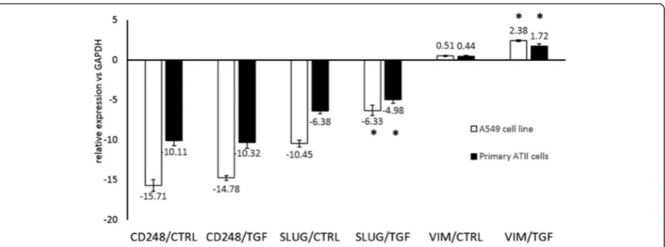 Fig. 5 CD248 expression do not changes significantly in A549 (were tested with reverse transcription quantitative PCR (RT-qPCR)