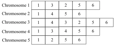 Fig. 2. The population initialized by 6 sensor nodes 