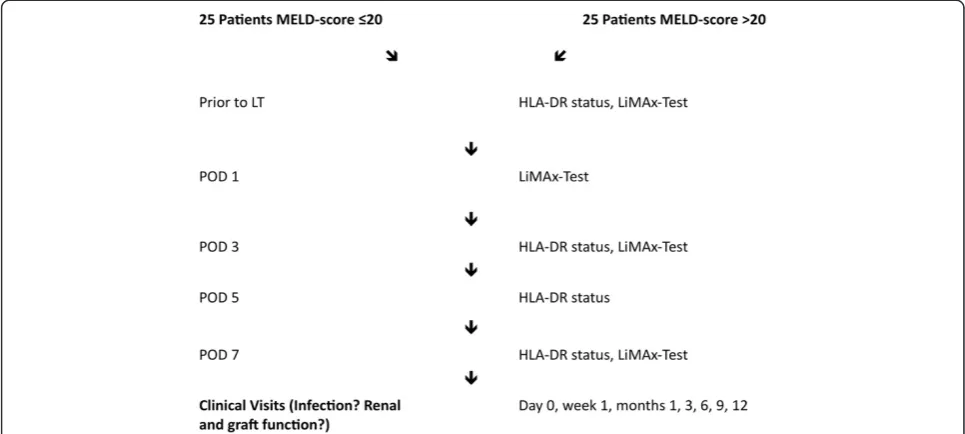 Figure 1 Flow chart of the IMUTECT study.on HLA-DR= Human leukocyte antigen DR, LiMAx= Maximal liver function capacity based 13C-Methacetin kinetics, LT= Liver transplantation, MELD= Model for end-stage liver disease, POD= Postoperative day.