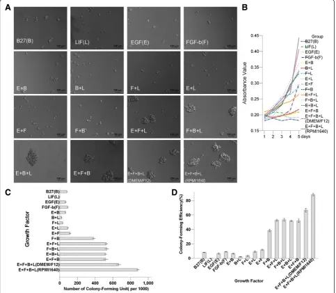 Figure 1 Comparison of culture mediums and supplements for MB49 cell cultures. The combination for an optimal SFM is RPMI1640+ EGF(E) + FGF-b(F) + LIF(L) + B27(B) + BSA