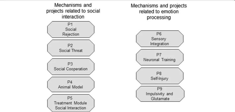 Figure 1 Overview of the mechanisms and projects of the CRU related to social interaction (left) and emotion processing (right).`