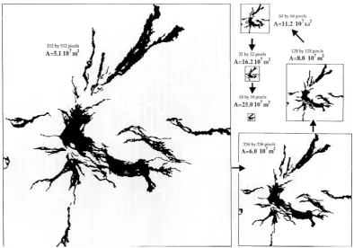 Fig. 17 