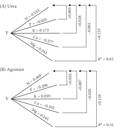 Figure 3. Path diagram of the micronutrient content in the 4th leaf and tuber yield (Y)