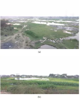 Figure 7. Drainage map of Nirmal Mandal, Adilabad, Telangana, India. 