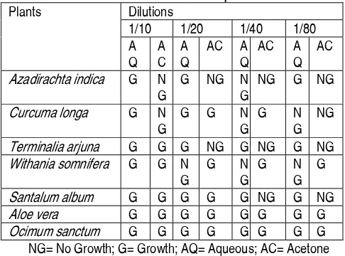 Figure. 3: Microscopic view (100X) showing Gram-character of the 