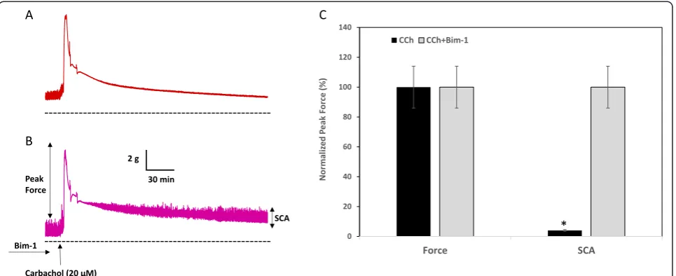 Fig. 1 Effects of carbachol (CCh) on the contractile force and spontaneous contractions in DSMbladders were mounted in organ baths with Tyrode in vitro
