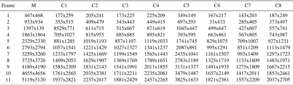 Table 2. Sizes (pixels) of the frames cropped from the digital images; M – microscope images (they have all the same size); C1, 