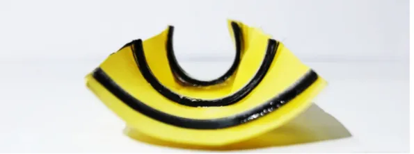 Figure 9. Configuration of the flat sheet reinforced by three straight 4D-printed beams after the heating–cooling process