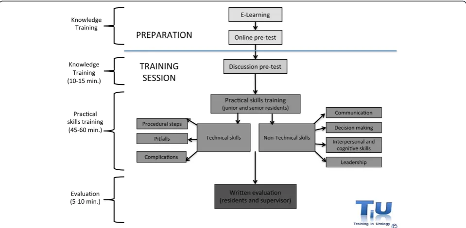 Fig. 1 General outline of the training sessions of the D-UPS program