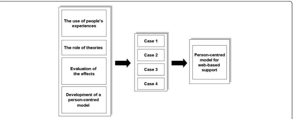 Figure 1 The studied aspects of web support development.