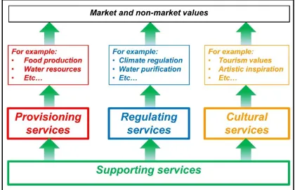 Figure 1: How ecosystem services are interconnected and contribute to flows of benefits of diverse market and non-market value to society 