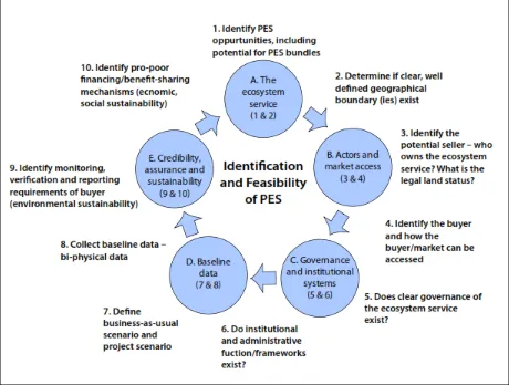 Figure 6: The 10 steps in assessing the feasibility of PES.  Source: Fripp 201485