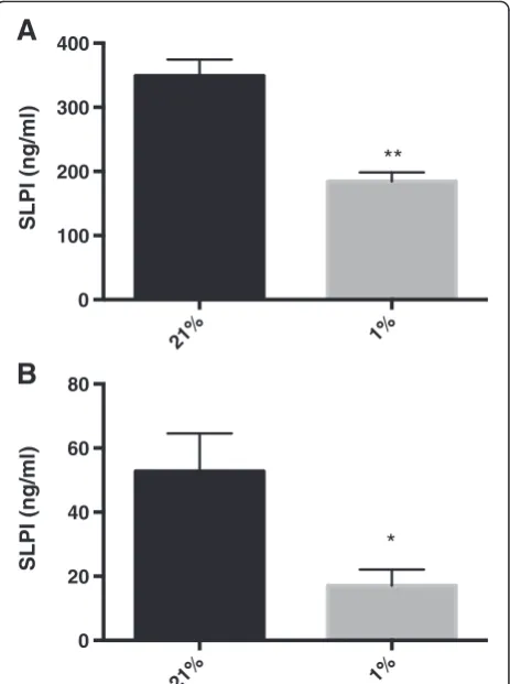 Figure 1 Hypoxia reduces SLPI expression in differentiatedbronchial epithelial cells. SLPI concentrations in the cell medium(A) and rinsing fluid (B) from air liquid interface cultures incubatedat 21% or 1% O2