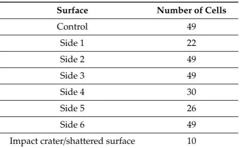 Figure 3.Figure 3. Images showing the alphanumeric grid system on an intact side of the sample (side 3, a) and a sample significantly fractured at impact (side 4,  Images showing the alphanumeric grid system on an intact side of the sample (side 3,b)