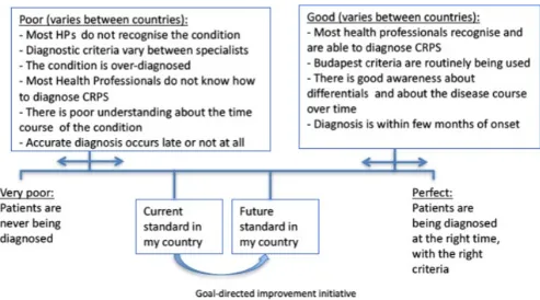 FIGURE 2 The European Task Force dynamic diagnostic standard quality framework for CRPS