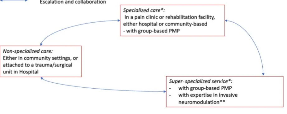 FIGURE 3 Services and competencies. PMP = multidisciplinary pain management programme integrating psychological care and functional group‐based PMP, whereas others additionally provide “super‐specialized” services; **neuromodulation is listed to highlight the care structure rehabilitation; &additionally “Hand Therapists” in some European Countries, *note, some pain clinics and rehabilitation facilities do not provide within which it is delivered; some centres will not provide this service