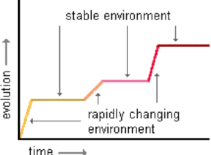 Figure 2. Punctuated equilibrium theory in crisis situations. Reprinted from Wolf (2015)