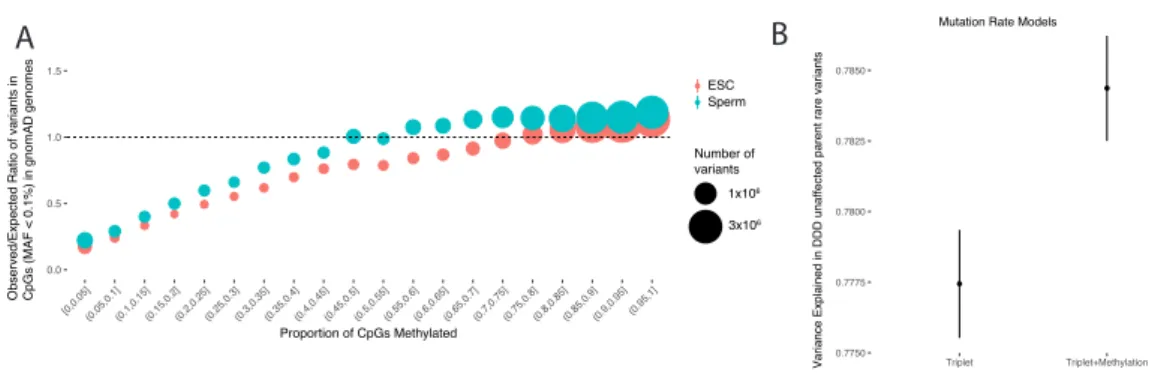 Figure 1 Methylation-aware mutation rate model. (a) Methylation proportion at a given CpG site  in Embryonic Stem Cells (ESC) and sperm correlates with observed rare variation in gnomAD