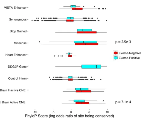 Figure 5 Evolutionary conservation of mutated base in conserved non-coding elements. DNMs in  exome-negative probands show a greater degree of evolutionary conservation (measured by  PhyloP score) compared to DNMs observed in exome-positive probands in two