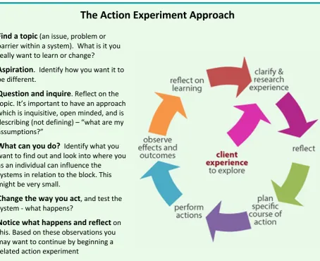 Figure 2: GK approach to action experiments4  