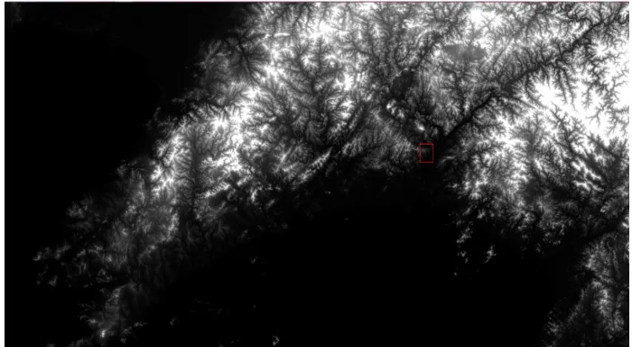 Fig. 5. ENVI splicing result 