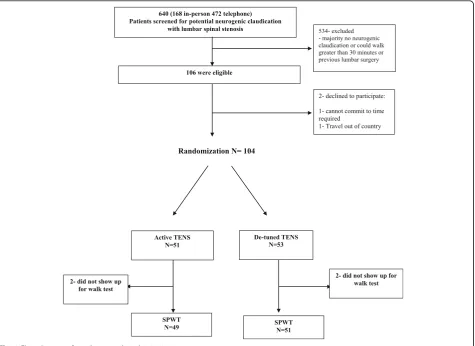 Fig. 1 Flow diagram of enrolment and randomization
