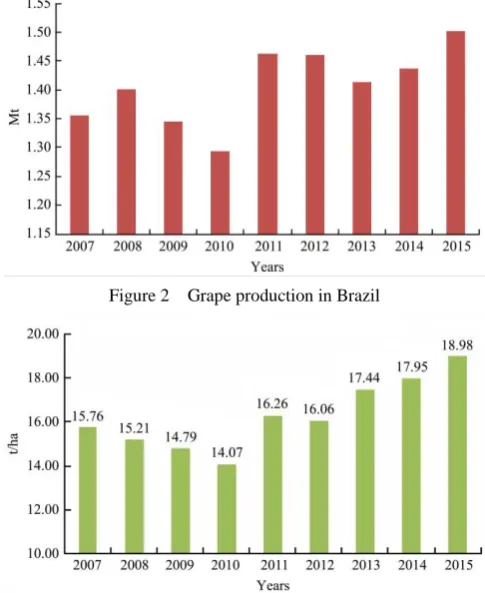 Figure 2  Grape production in Brazil 