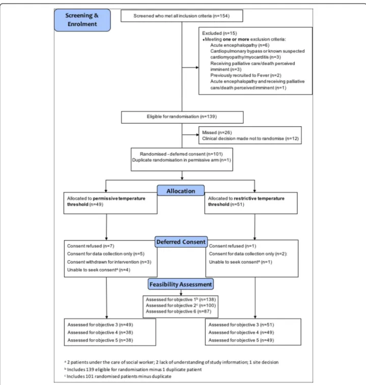 Fig. 1 Flow of participants through the pilot randomized clinical trial