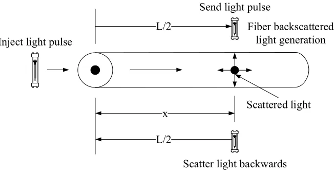 Fig. 1. Fiber scattered light 