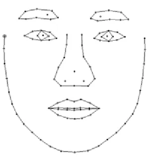 Figure 1. An example of a Shape Model. 