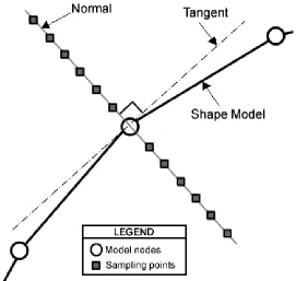 Figure 2. Sampling Points Along the Contour Normal. 