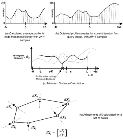 Figure 3. Finding the best fit estimates along the normal of each shape model node. 