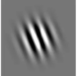 Figure 5. A 2D Gabor Wavelet. 