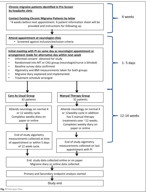Fig. 1 Participant flow