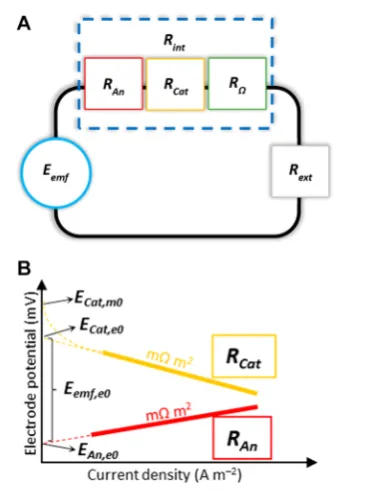 Figure 1. (A) Microbial fuel cell circuit diagram with anode, cathode,and ohmic resistances as part of the total internal resistance of the cell.The membrane resistance was not included in the ﬁgure as nomembrane is currently used in single-chamber MFCs
