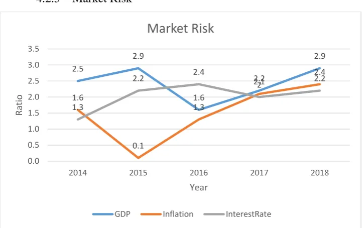 Figure 4.5 Market Risk 