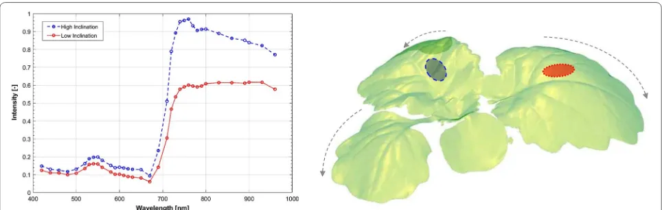 Fig. 5 Orientation effects. Variation in reflectance measured at high (blue) [ 50 ◦ ] and low (red) [ 10 ◦ ] inclination normalisation (left) PS reconstruction of control oilseed rape plant, at 03 DAI with excessive curvature of leaves highlighted with arrows (right)