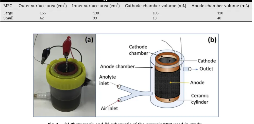 Fig. 1 e (a) Photograph and (b) schematic of the ceramic MFC used in study.
