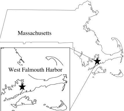 Fig. 1.1. Map of the study site, illustrating the location of West Falmouth Harbor (41°36’N,70°38’W) in southwestern Cape Cod, MA.