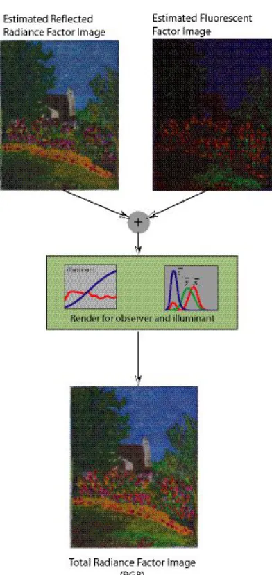 Figure 2.3 A flowchart of abridged fluorescence spectral imaging.  