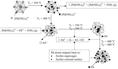 Fig. 1). 